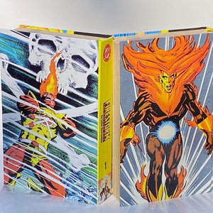 FIRESTORM (2 Vol.) by John Ostrander, Joe Brozowski and Tom Mandrake, Custom Bound Hardcovers